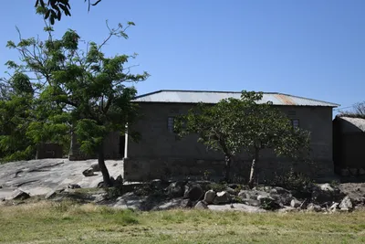 DSC_2742 (Large).JPG